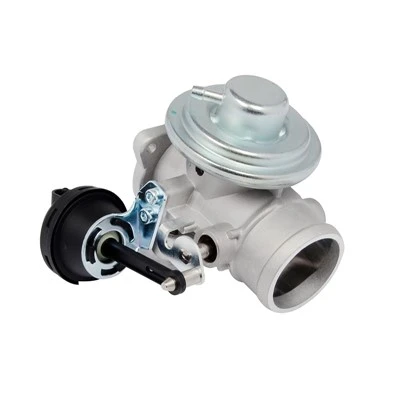 045 131 501L OE Quality EGR Valve for Light Commercial Diesel Vehicles BUGIAD:54022