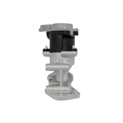1618.N7 OE Quality EGR Valve for PEUGEOT Diesel ERA: 555011
