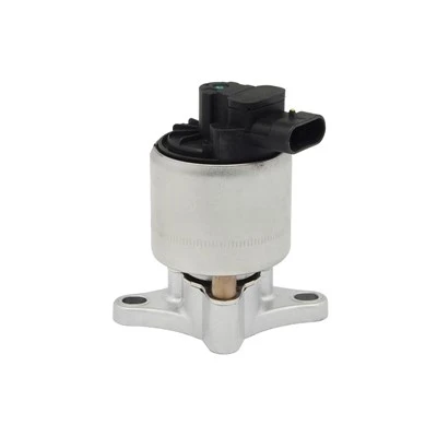 17096154 Βαλβίδα EGR αυτοκινήτου για CHEVROLET BorgWarner: EGR1179